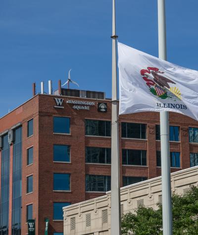 Illinois State Flag